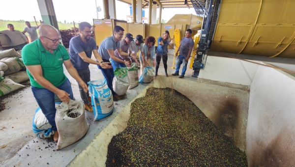 Café industrializado no Acre ganha novo reforço com lei de incentivo às compras governamentais